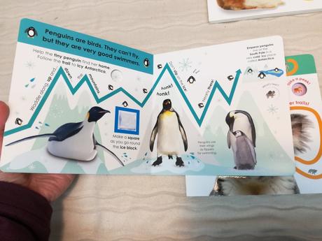 Follow the trail leporela nau20,