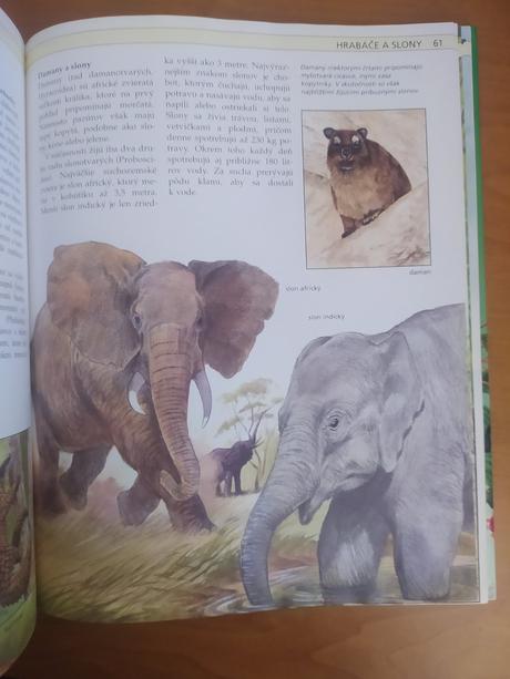 Stručná detská encyklopédia prírody (1992), 