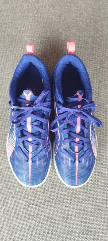 Halovky puma, puma,37