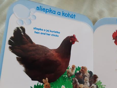 Prvé knižky angličtina 5x, 