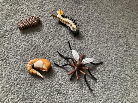 Zivotny cyklus komar + karty, 