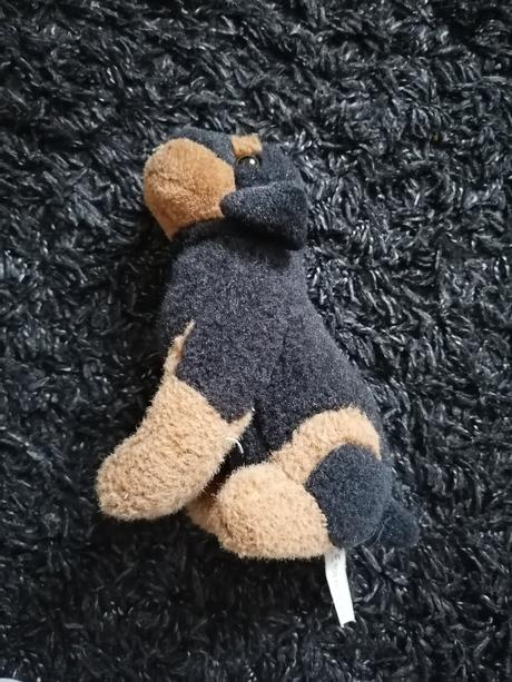 .plyšák psík, 