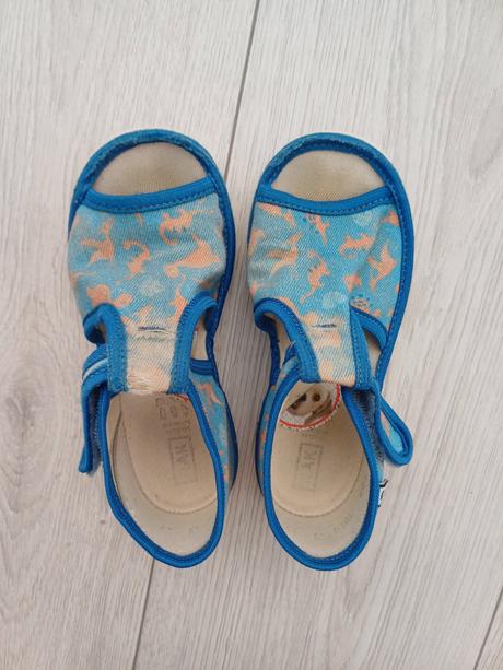 Papuče rak dinosaurus 27, rak,27