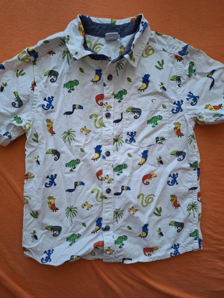 Letna kosela 116, miniclub,116