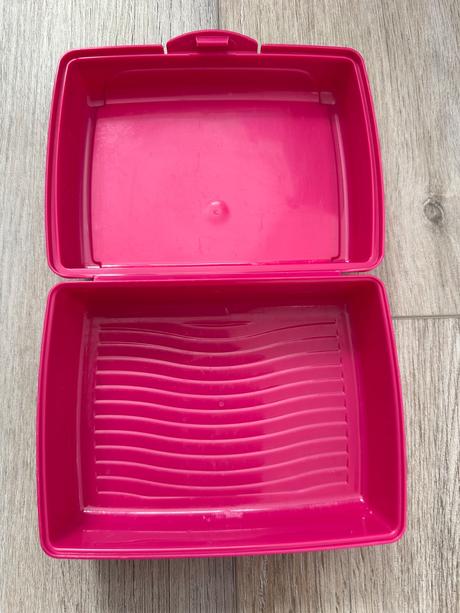 Desiatovy box minnie,