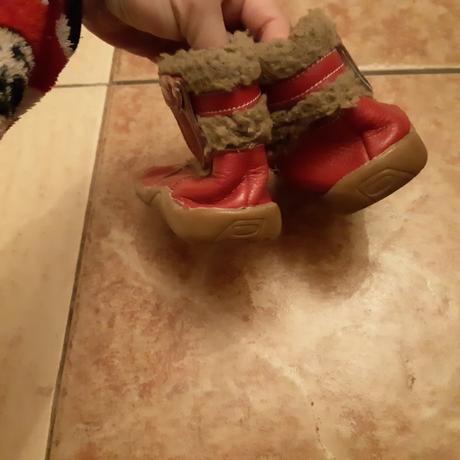 Dievčenské  cizmicky, 23