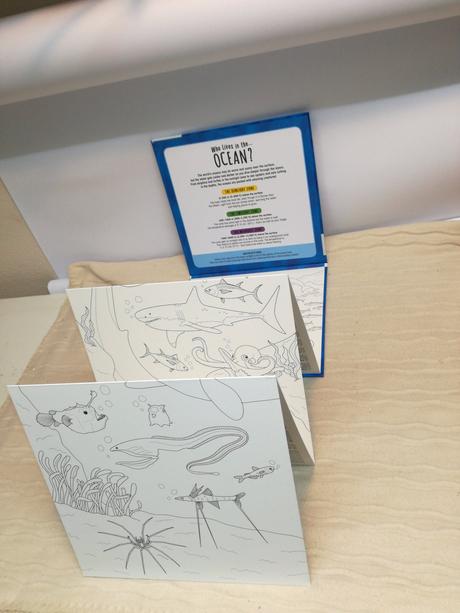 Who lives in the rainforest nsu21, 