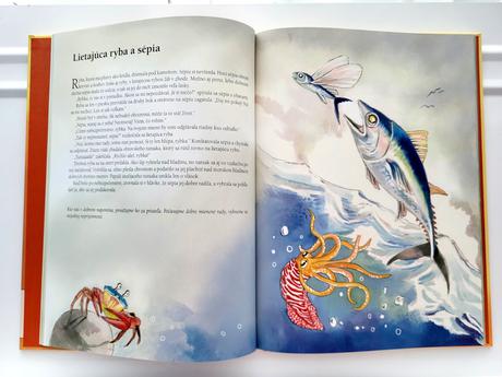 Bájky pre malých i veľkých,