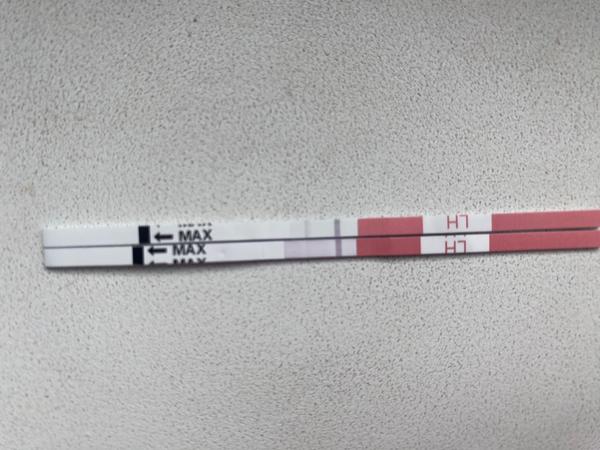 Ako správne interpretovať výsledky ovulačných testov?