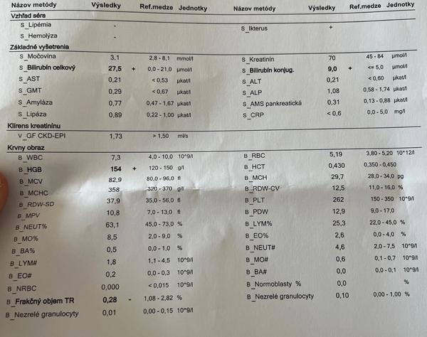 Čo si myslíte o mojich výsledkoch krvi?