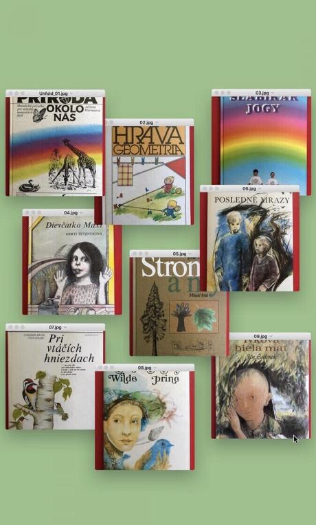 Detské a iné knihy, 