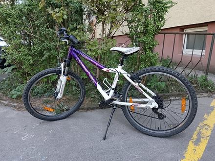 Bicykel, 24