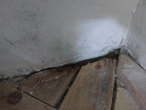 Pleseň v byte a výpoveď z podnájmu