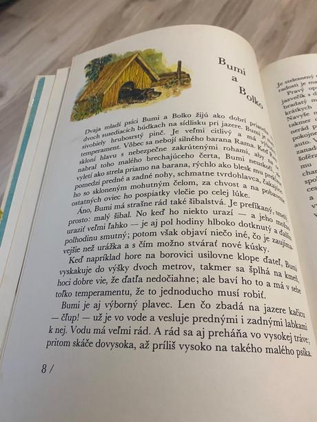 Príbehy o zvieratkách bumi pre veľké aj malé deti,