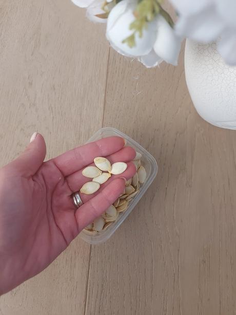 Cuketa - semena 10ks,