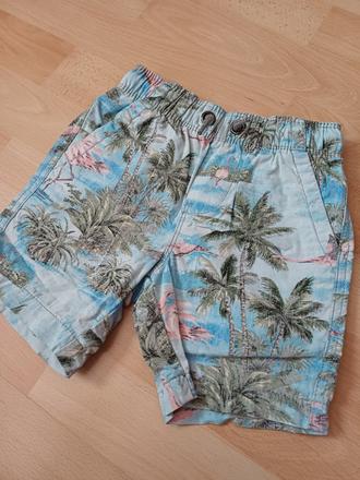 Šortky s palmami, next,104