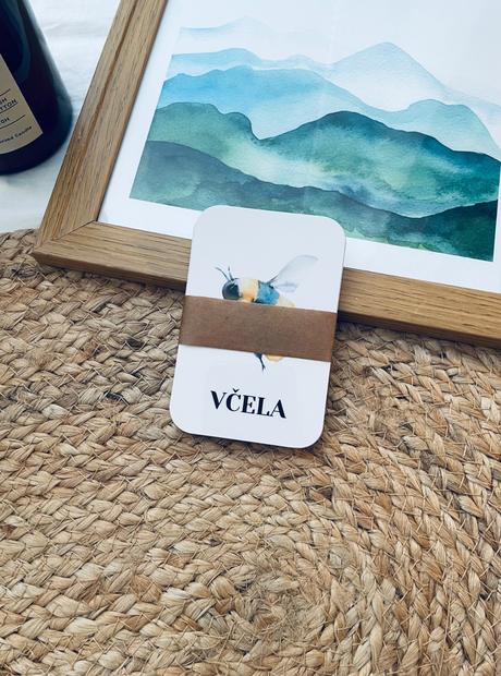 Vtáci a hmyz - komunikačné a vzdelávacie kartičky,