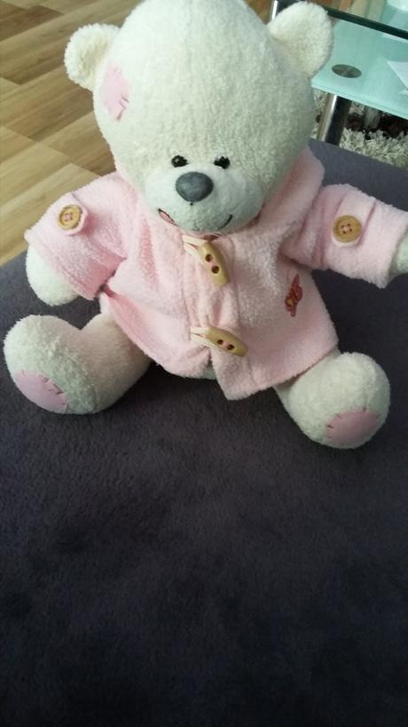 Medvedik s mikinkou, 