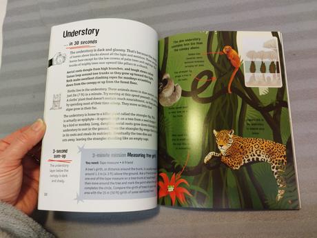 Dr jen green - rainforests in 30 seconds nau24,