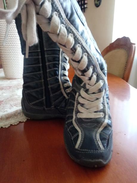 Cizmicky mustang, mustang,29