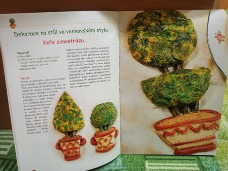 - brozurka o práci so slanym cestom, 