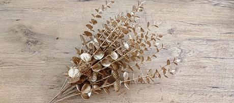 Ozdobný kvietok eukalyptus - zlatý, 