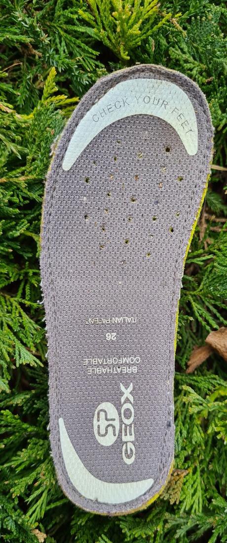 Členkové topánky pre dievča, geox,26