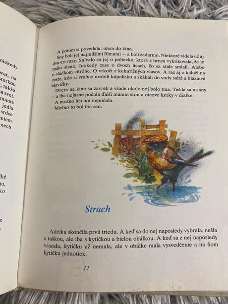 Deň po dlhom daždi býva voňavý dušan dušek,