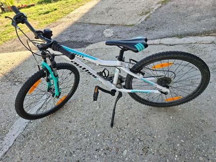 Bicykel author, author,24