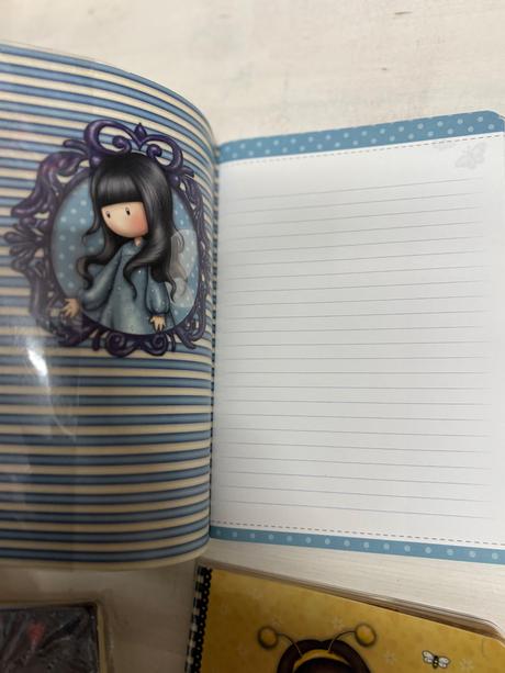 Santoro krasne dievcenske zošity 6ks,