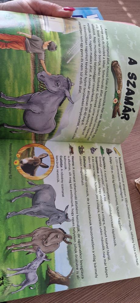 Elsō enciklopediam, 