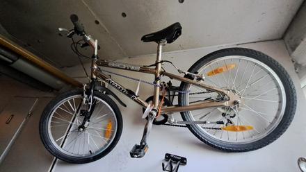 Detský bicykel, author,20