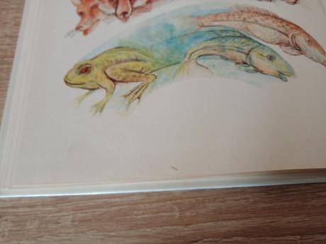 Kniha-mam básničku na jazýčku, 