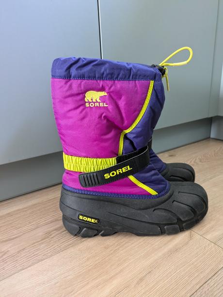 Snehule sorel, sorel,39