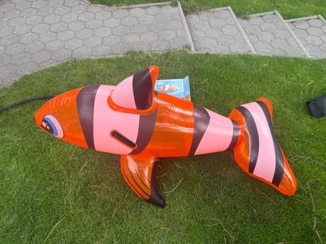 Nafukovačka nemo, 