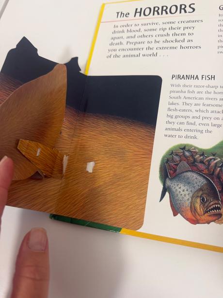 Pop up 3d kniha exreme animals,