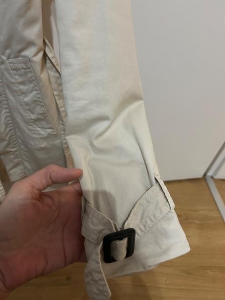 Bledy kabat, calliope,l