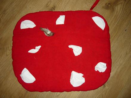 165.karnevalový kostým -muchotrávka ,