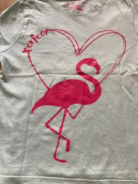 Tričko s plameniakom, f&f,128