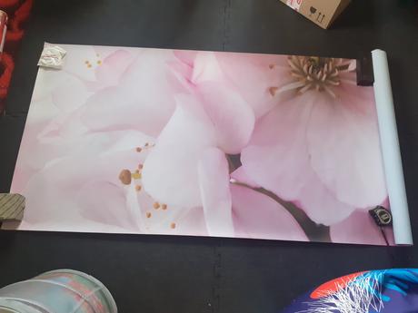 Fototapeta 254 x 184 cm - jabloňové kvety,