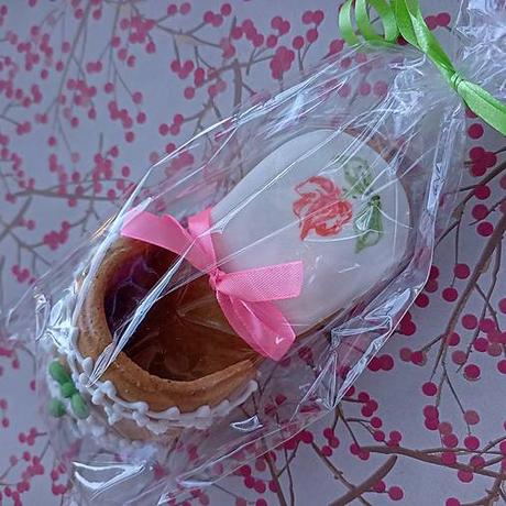 Medovníková papučka, 