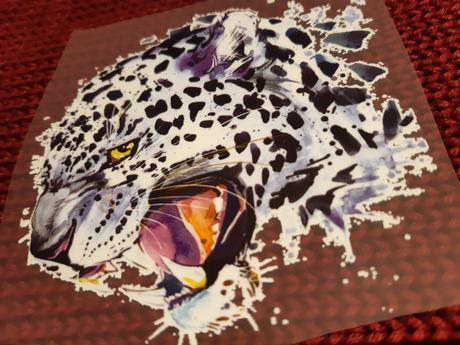 Nažehľovačka leopard, 