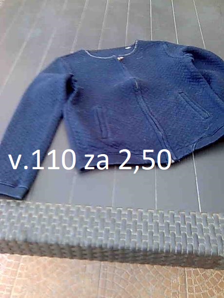 Mikiny v.110-116, 110