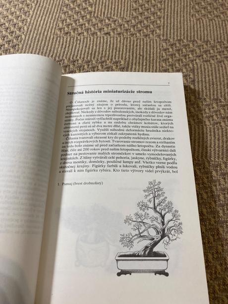 Miloslav ryšán  bonsaj, 