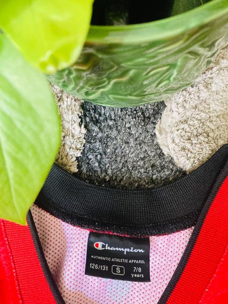 Basketbalové tricko champion, champion,134