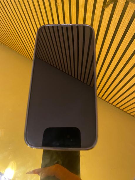 Apple 13, apple