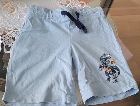 Kratase dinosaurus, takko,110