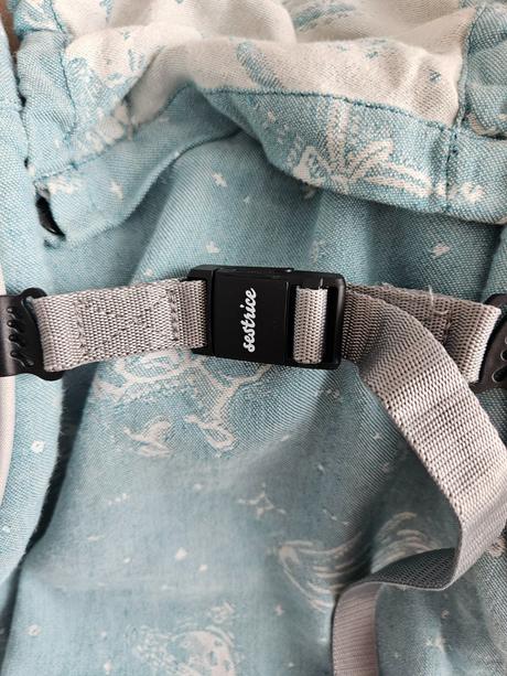 Sestrice carrier, sestrice