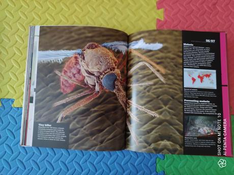 Disaster kniha top stav,