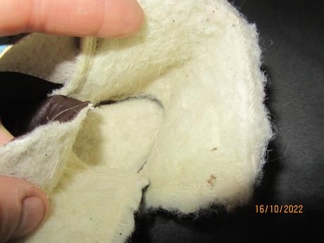 Cizmy antarctica, liliputi,18